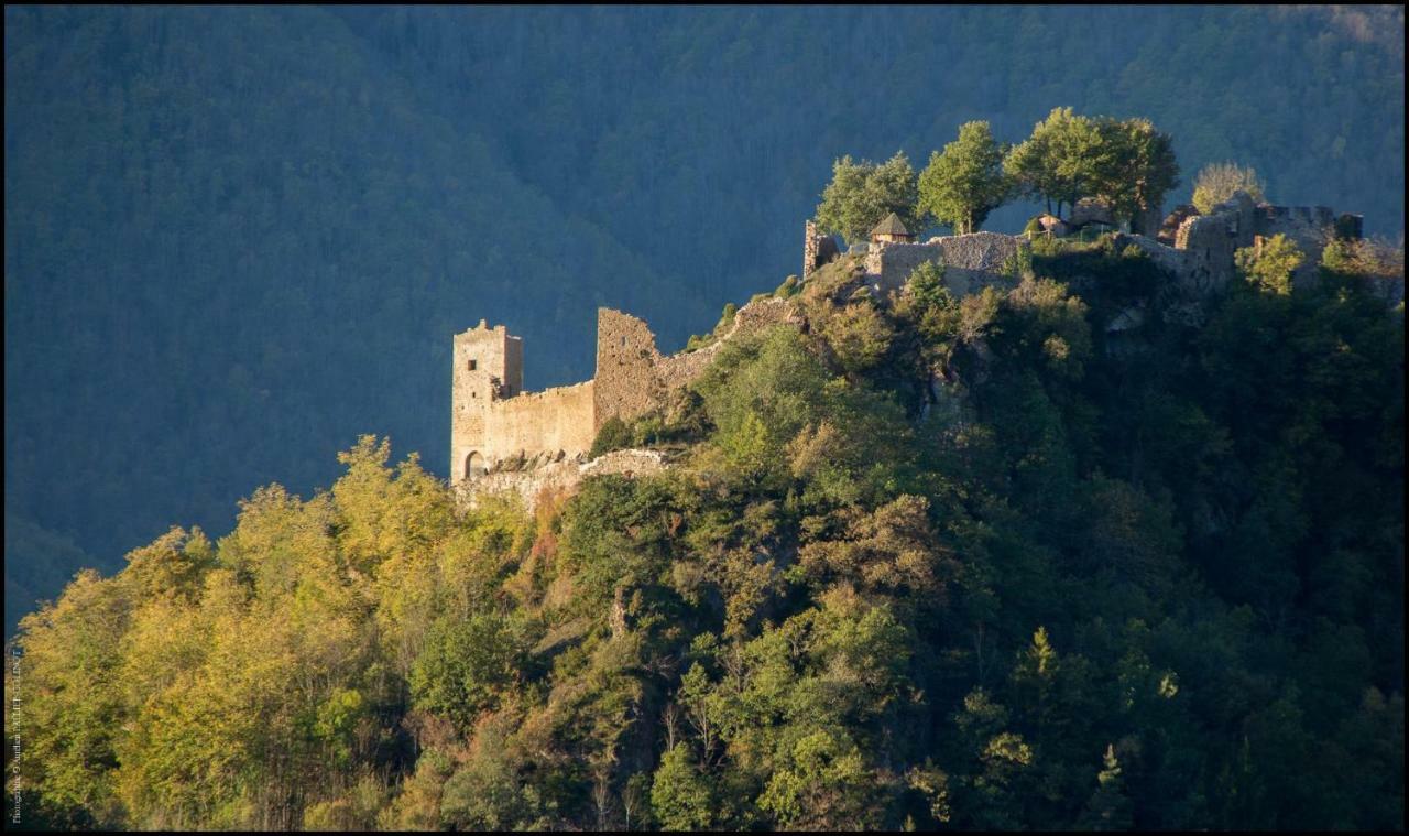 La Forge D'Andribet Villa Axiat Eksteriør bilde